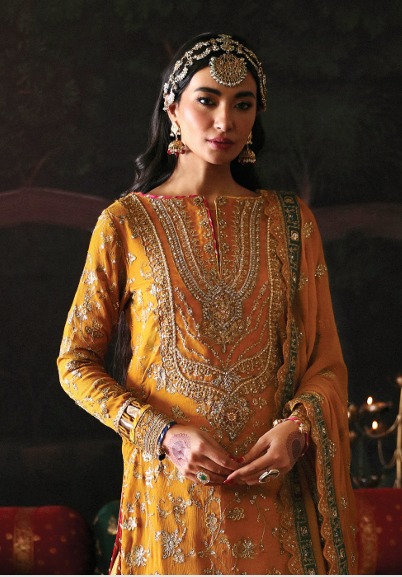 Roshan Jahan - Devdas Exquisite Formal Chiffon Ensemble