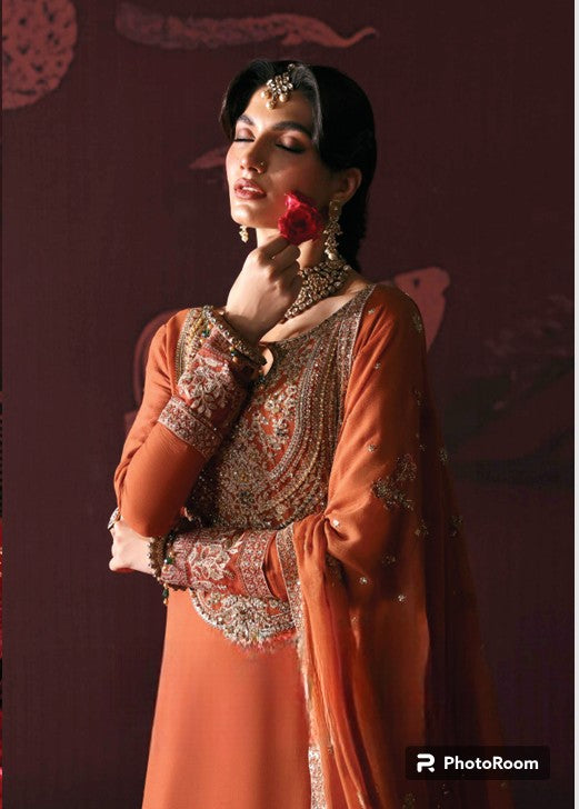 Leela: Devdas Exquisite Chiffon Formal Wear